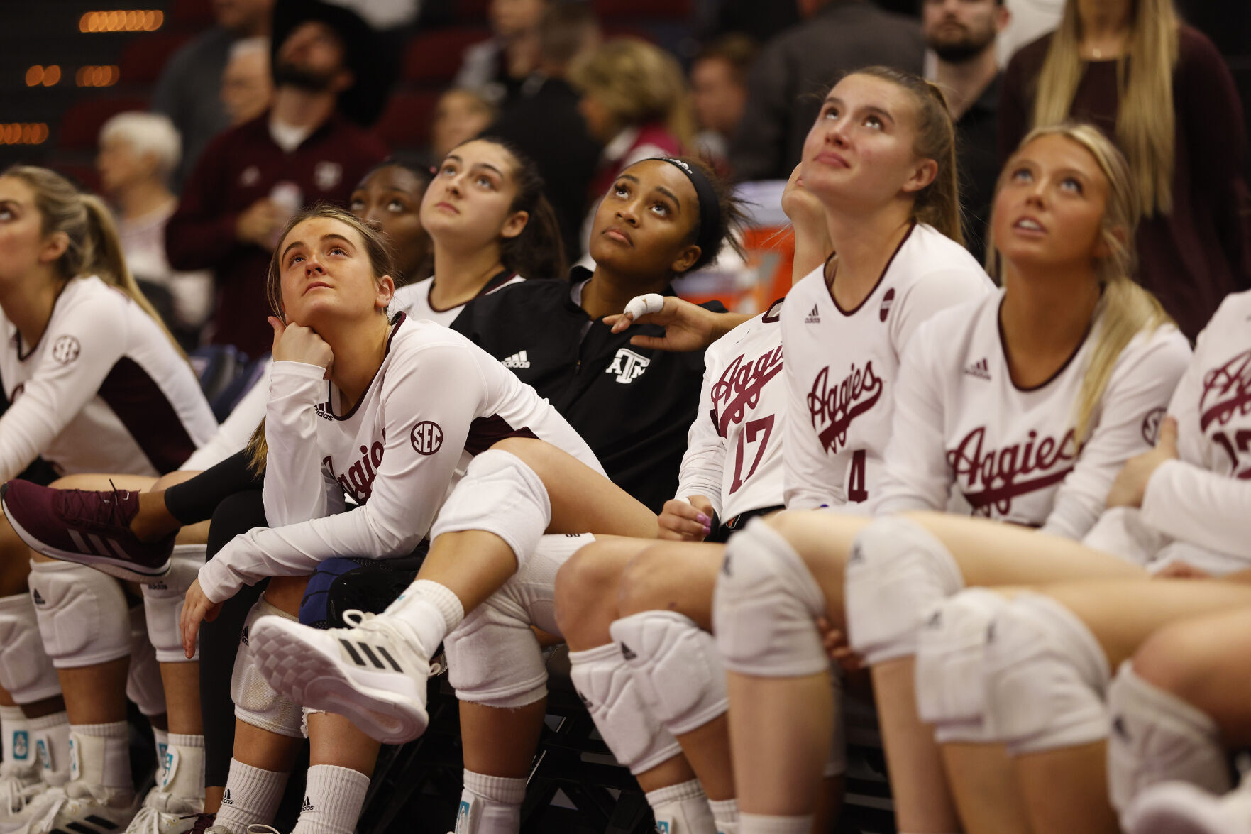 Aggie volleyball